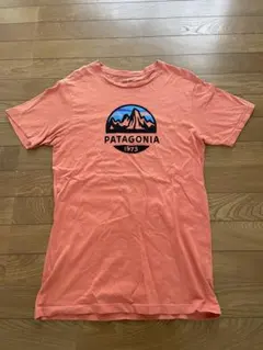 Patagonia オーガニックコットン Tシャツ S