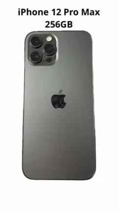 【256GB】iPhone 12 pro max