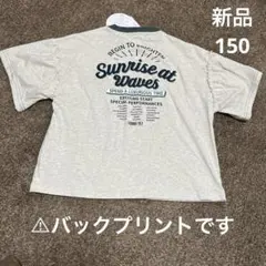 Item thumbnail for item d35ce420-fcf7-46cb-928d-447a83d5440f