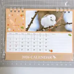 新品 匿名 シマエナガ トリ写真 卓上Wリング カレンダー 2026年 令和8年