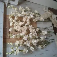 moco.様 リクエスト 2点 まとめ商品