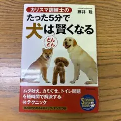 Item thumbnail for item 6cf1d00b-d3a8-44a4-b766-8d1a2d7d82ac