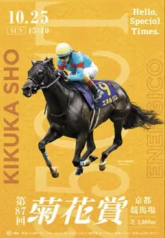 2026年 菊花賞 エネルジコ ポスター