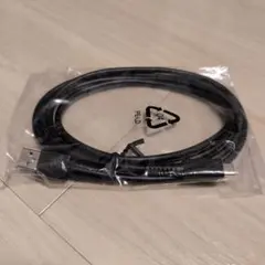 純正新品　Nintendo USB Type-Cケーブル