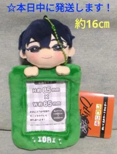 【 カリスマ　みにコレ！ ぬいぐるみカードホルダー 『 本橋 依央利 』】のサムネイル