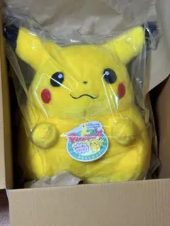 ポケットモンスター 30周年 おかえり ピカチュウ 1/1 ポケモン