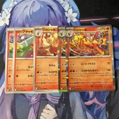 アチャモ ワカシャモ バシャーモ 【進化ライン】のサムネイル