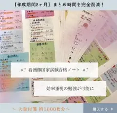 看護師国家試験 まとめノート 対策 カード 付箋ノート 国試 一般 看護 合格