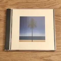 ◆極美品◆Metronomy メトロノミー The English …◆