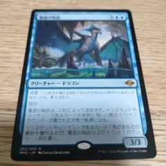 2025年最新】濁浪の執政 foilの人気アイテム - メルカリ