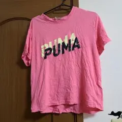 プーマTシャツ