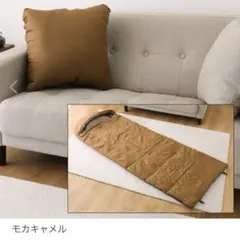 Item thumbnail for item 40feac59-9e74-484c-bb93-8a90fe846145