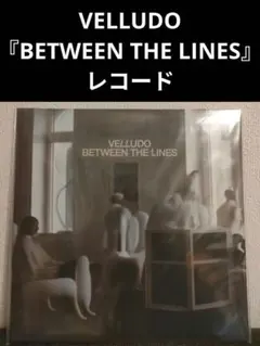 2026年最新】VELLUDO betweenの人気アイテム - メルカリ