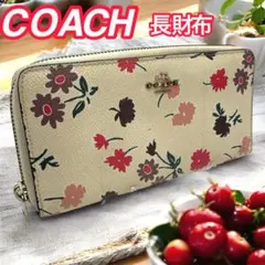 Item thumbnail for item 8afced89-e7db-4516-81fb-be987a30b353