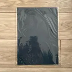 Item thumbnail for item 772549c4-83d2-4fb7-b36a-3135a8162939