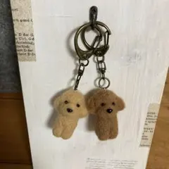 羊毛フェルト　トイプードルキーホルダーセット