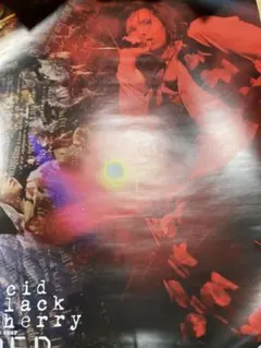 Acid Black Cherry 2009TOUR Q.E.D. ポスター