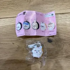 ちいかわ くら寿司 フィギュア モモンガ
