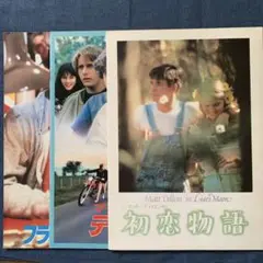 フラミンゴキッド　他　マット•ディロン　出演映画　パンフレット