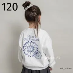 新品 120 branshes アソートグラフィックトレーナー ミックス