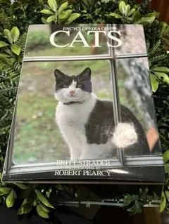 The Encyclopedia of Cats 洋書 猫 写真集 大型本