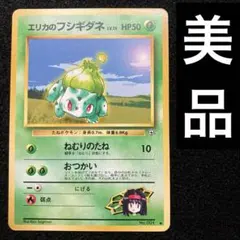 2026年最新】エリカのフシギダネの人気アイテム - メルカリ