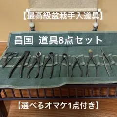 刻印あり ラスト ケース付き昌国作No.132 小品盆栽用7点セット - メルカリ