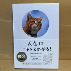 Item thumbnail for item dc1131c8-8546-4808-8183-8750b086d4e8