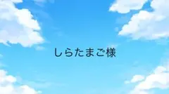 しらたまご様専用ページ