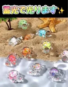 ブタ子様 リクエスト 3点 まとめ商品