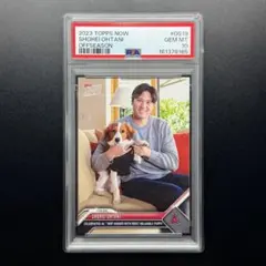 大谷翔平 2023 Topps Now PSA10 2枚セット 連番 デコピン - メルカリ