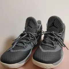Jordan Super.Fly 3 グレー スニーカーのサムネイル