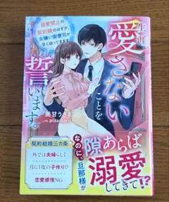 生涯、愛さないことを誓います。 ベリーズ文庫 美甘うさぎ