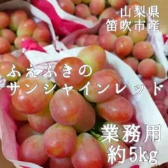 サンシャインレッド/上位等級の青秀品！/業務用/山梨県笛吹市産/5kg入 サンシャインレッド/上位等級の青秀品！/業務用/山梨県笛吹市産/5kg入