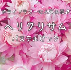 まかろん☆複数購入お値引き様 リクエスト 5点 まとめ商品