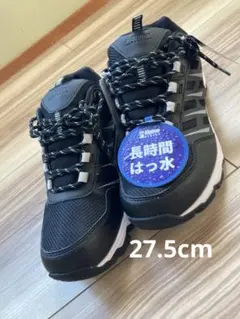 Item thumbnail for item 9800b6df-95df-4194-8901-68e44a126579