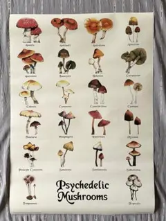 今週末まで値引き　Psychedelic mushrooms ポスター　キノコのサムネイル