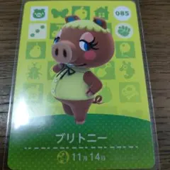 あつまれどうぶつの森　amiiboカード　ブリトニー