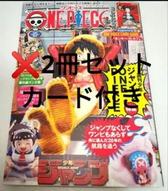 ワンピースマガジン 20号 プロモ付き モンキー・D・ルフィ雑誌2冊