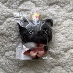 NCT WISHDOLL MD ぬいぐるみ riku リク クリ 17 - メルカリ