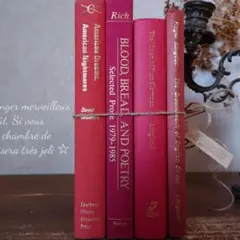 B414 ヴィンテージ 洋書 お洒落な組み合わセット ディスプレイ インテリア