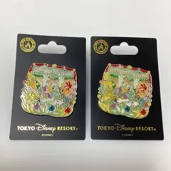 東京ディズニー リゾート ピンバッジ レッツパーティグラ ドナルド 2個 限定のサムネイル