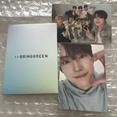 ALD1 ゴヌ BRINGGREEN トレカ