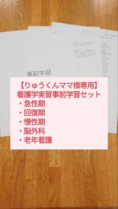 看護学実習 事前学習セット【りゅうくんママ様専用】