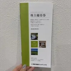 東急不動産ホールディングス 株主優待 1000-5000株未満のサムネイル