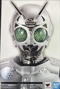 d*9様 S.H.Figuarts 真骨彫製法 シャドームーン