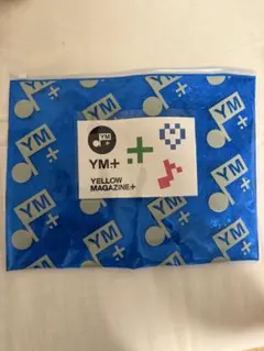 星野源 ミュージシャン