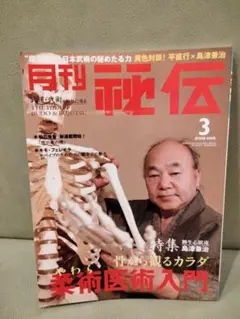 月刊秘伝　2008年3月号　島津兼治　柔術医術入門　柳生心眼流　武道　武術
