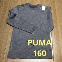 Item thumbnail for item 0447070e-ab4e-42ca-bc97-4fdc67161adc