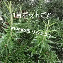 wjunko様 リクエスト 4点 まとめ商品